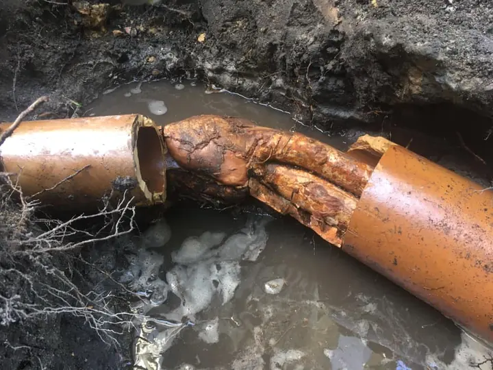 Tree roots growing through a broken pipe, found on a job